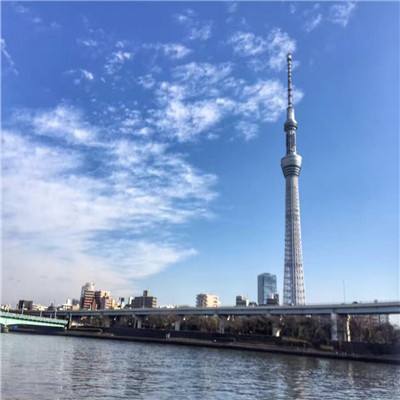 模拟巴士2023游戏中文版下载